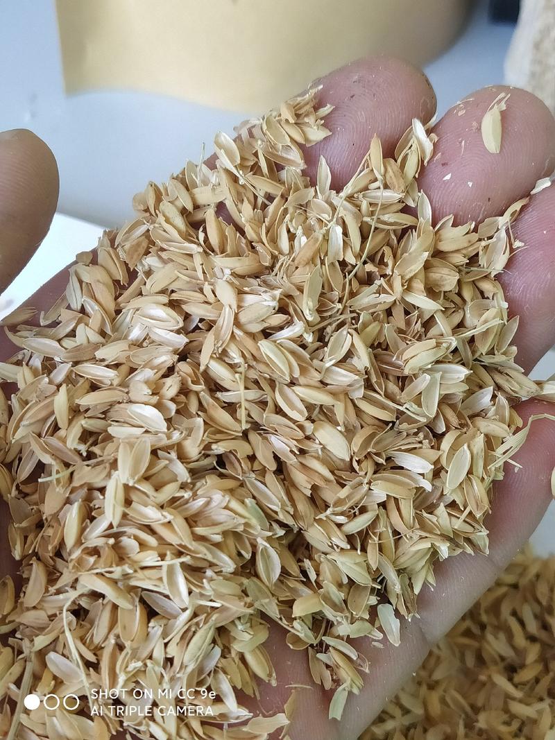 优质稻壳厂家直销，除尘无水分，量大优惠。