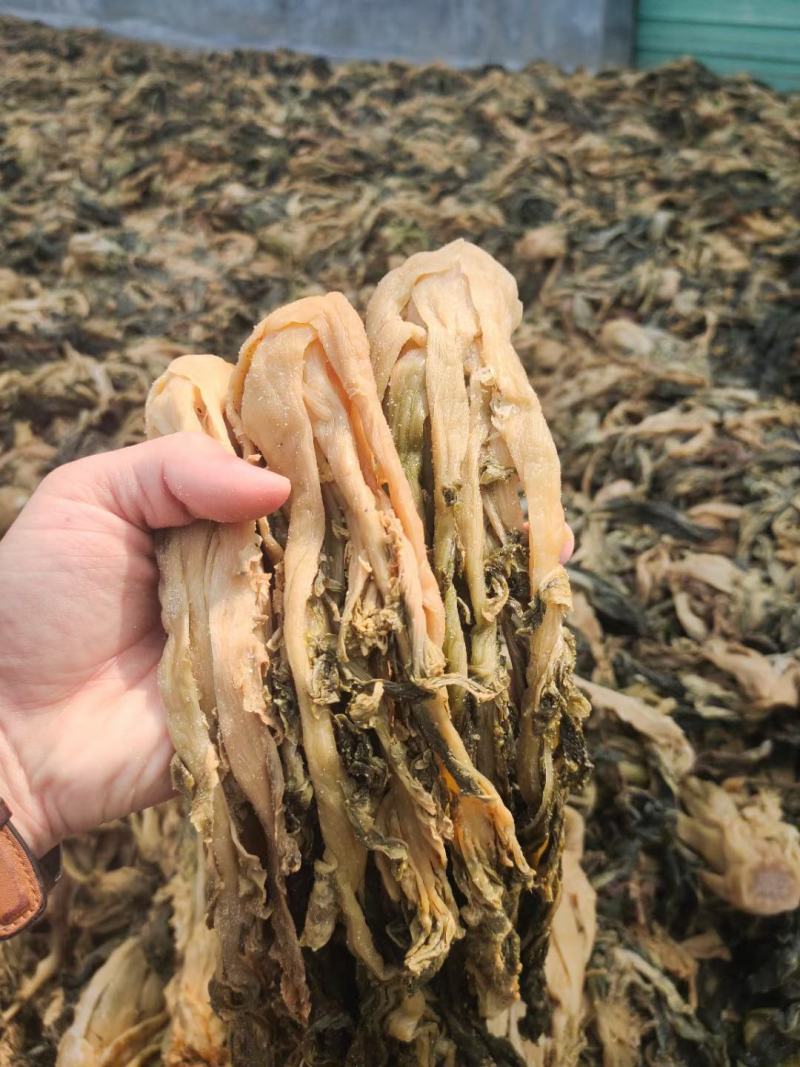 惠州矮陂农家浓香梅菜