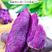 【全年现货秒发】沙地紫薯新鲜红薯地瓜板栗蜜薯蔬菜番薯批发