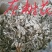 灰树花，药用灰树花质量保证，经营各种中药材欢迎咨询合作！