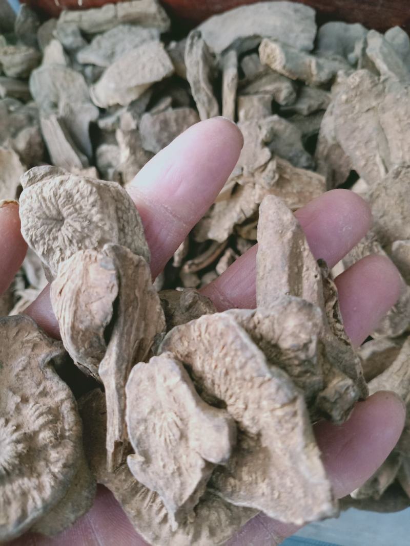 菊三七，正品菊三七三七质量保证，