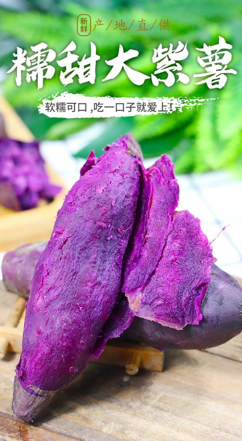 【全年现货秒发】沙地紫薯新鲜红薯地瓜板栗蜜薯蔬菜番薯批发