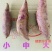 【全年现货秒发】沙地紫薯新鲜红薯地瓜板栗蜜薯蔬菜番薯批发