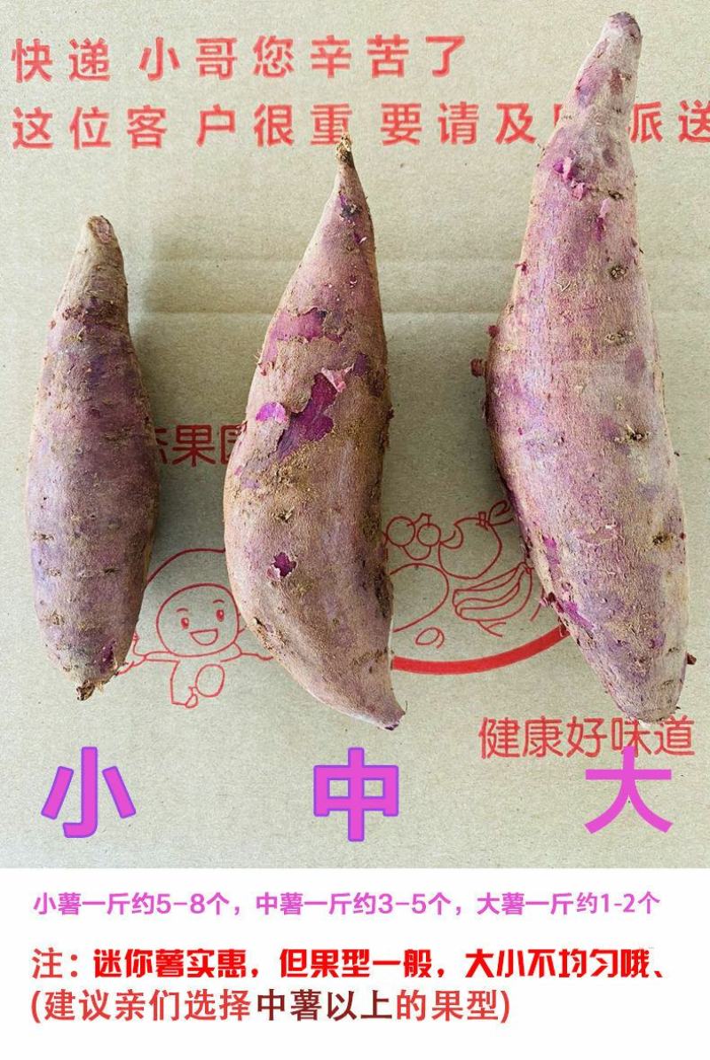 【全年现货秒发】沙地紫薯新鲜红薯地瓜板栗蜜薯蔬菜番薯批发