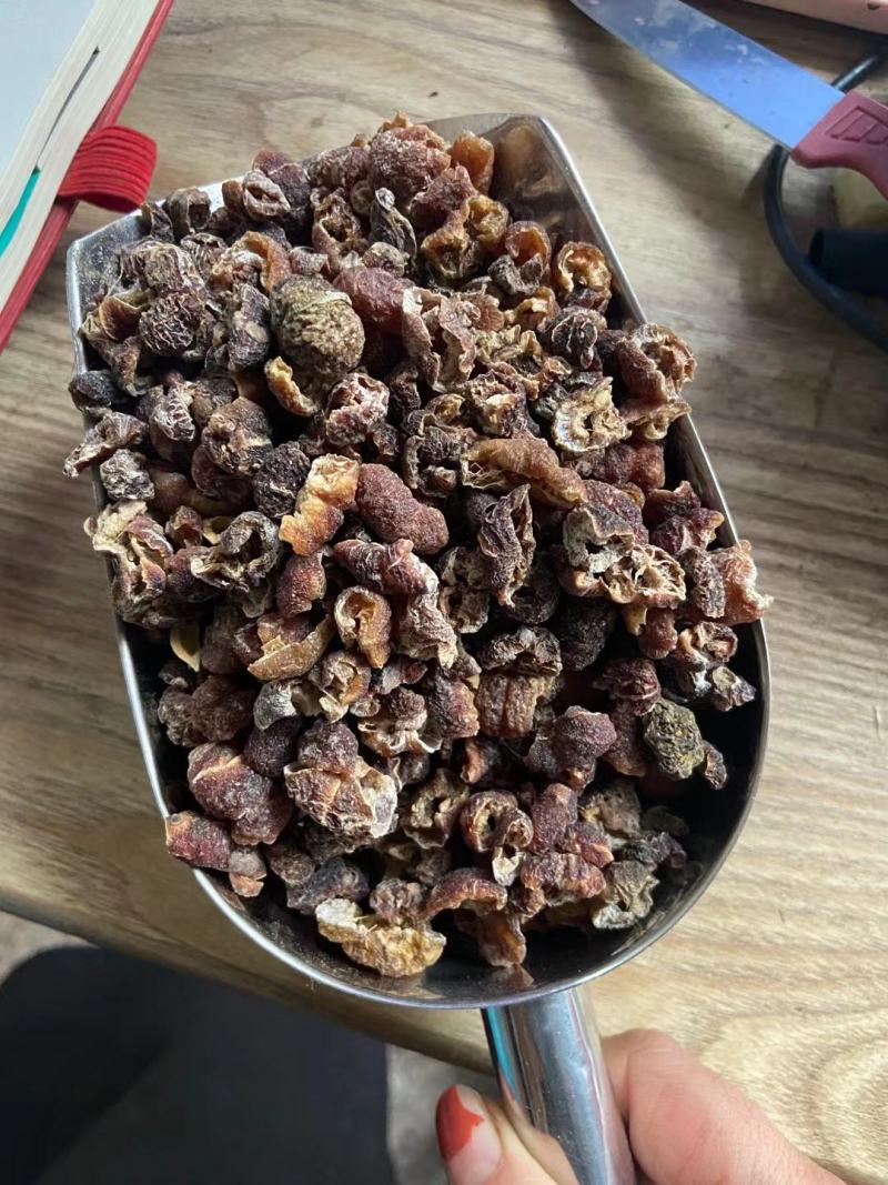 余甘子，余甘子肉质量保证，经营各种中药材欢迎咨询合作！