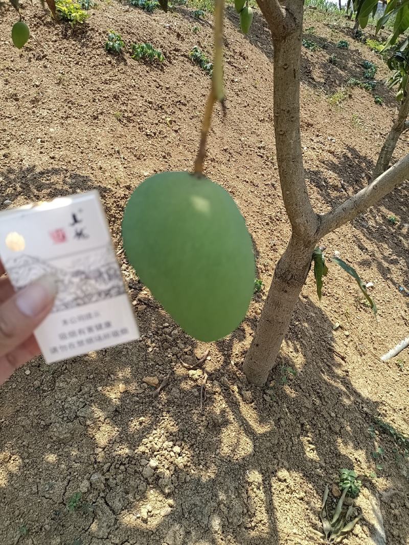 好货又便宜