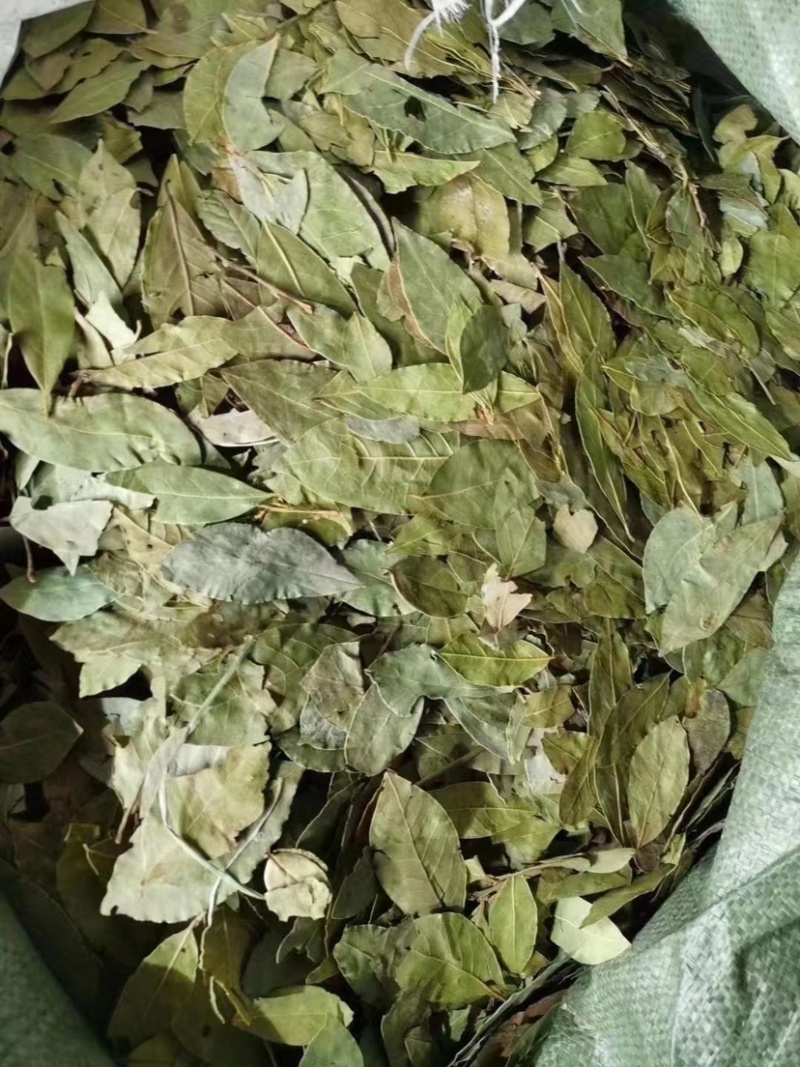 香叶进口批发价食品厂等级