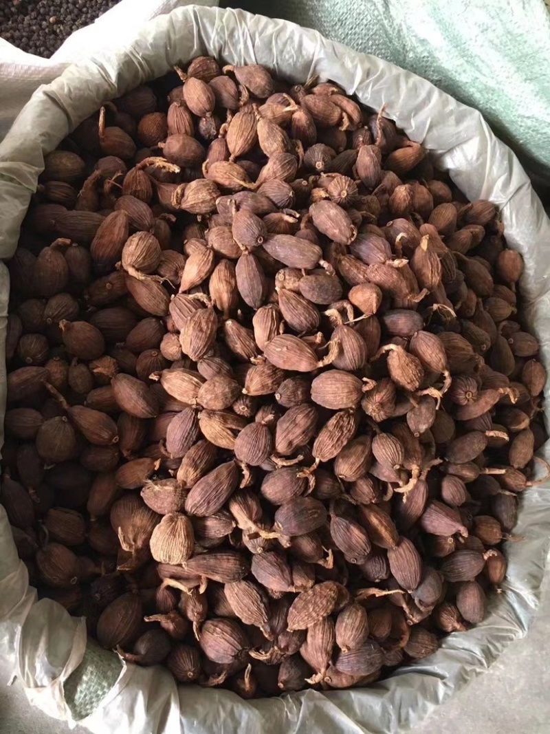 云南草果产地直销大量批发价格实惠