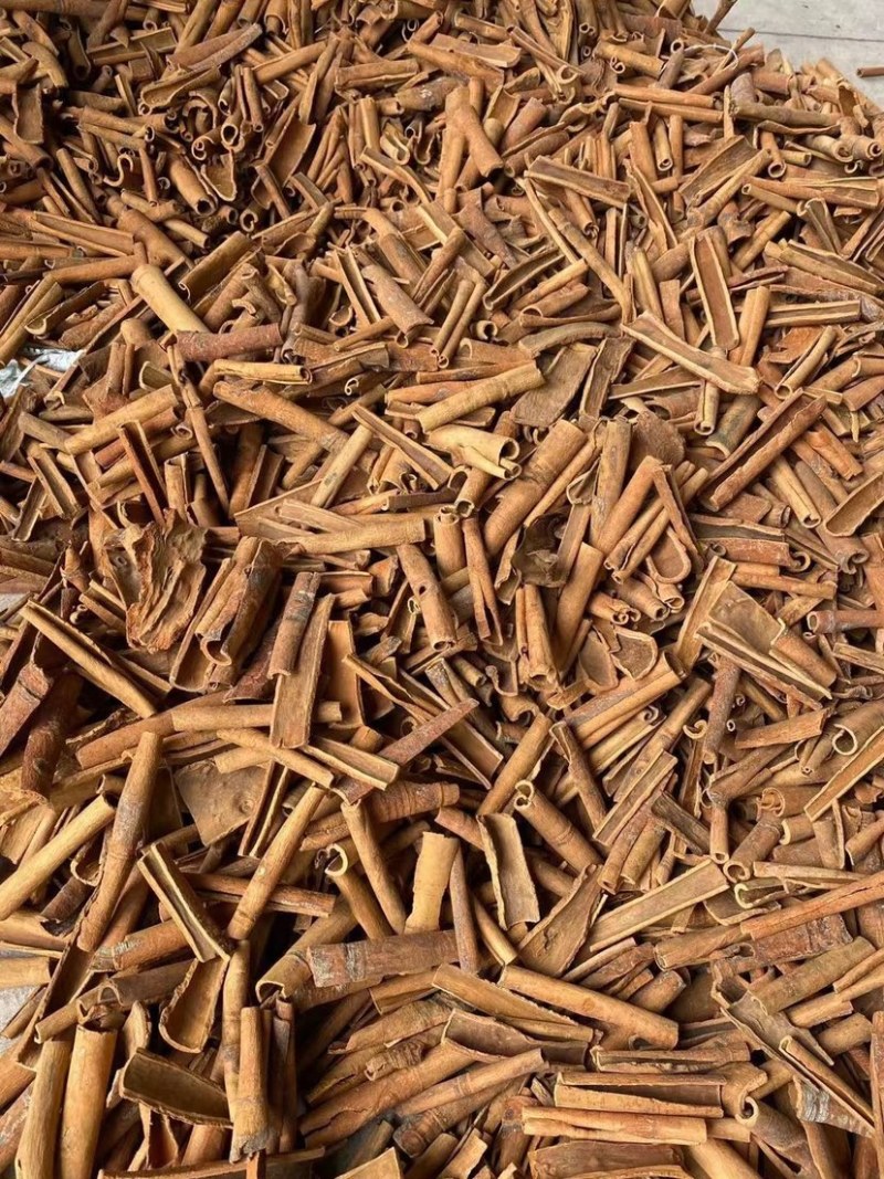 烟桂桂皮统货广西产地直销批发