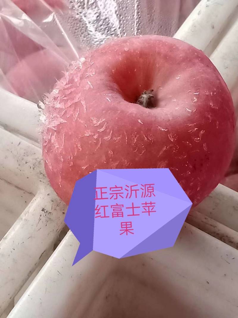 红富士苹果，皮薄色艳，多汁多肉自然成熟，不打蜡，无公害