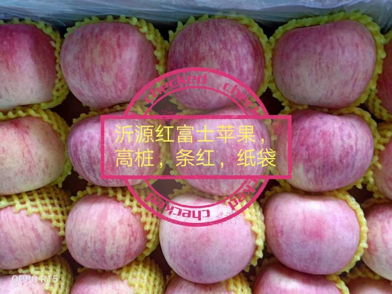红富士苹果，皮薄色艳，多汁多肉自然成熟，不打蜡，无公害