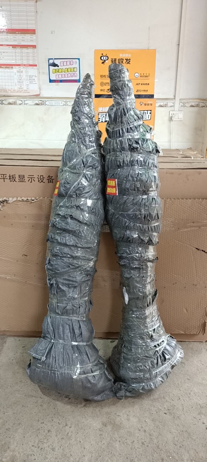 藤县古龙两年三春嫁接八角苗