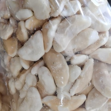 新鲜菱角米