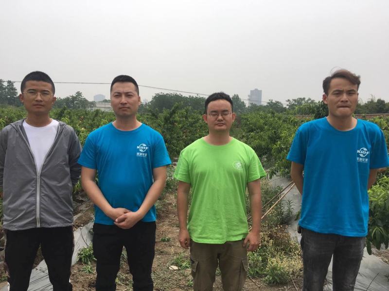 磷酸二氢钾叶面肥水溶肥膨果上色肥工厂直供无中间商