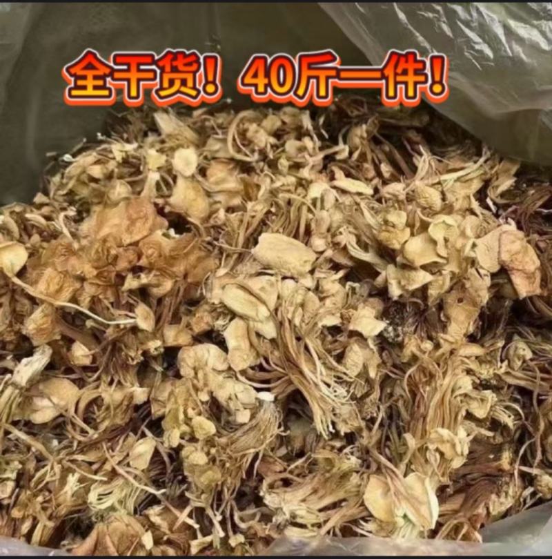 2022新货茶树菇干！电商专用！好品质决定好销量！！！