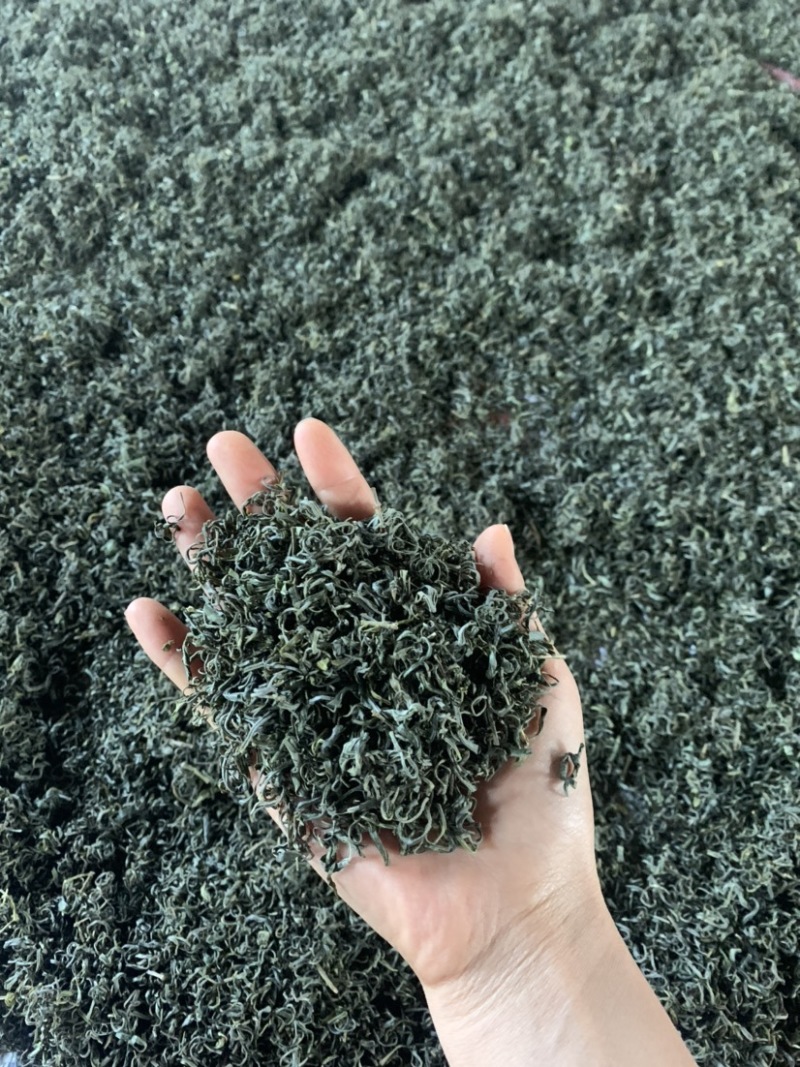 绿茶