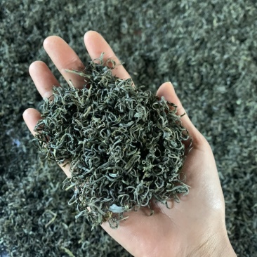 绿茶