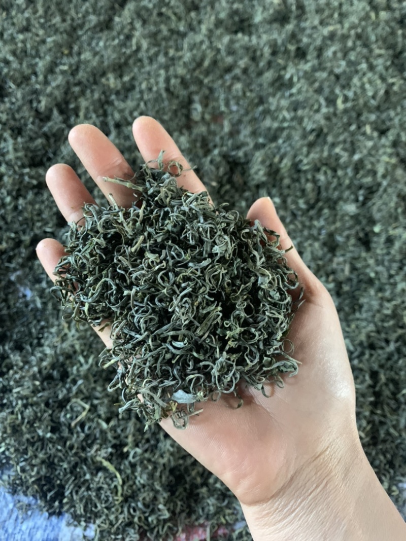 绿茶