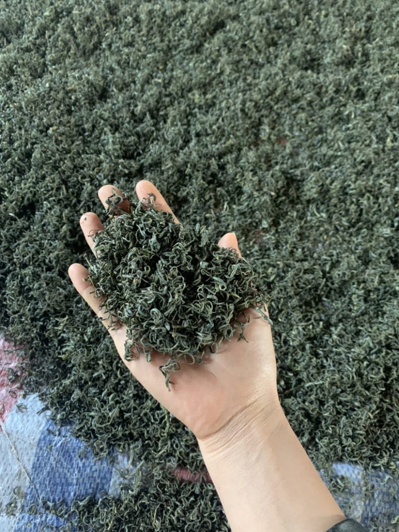 绿茶