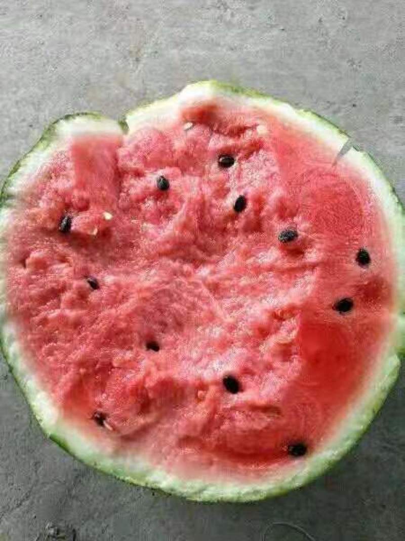 甜王双红瓤