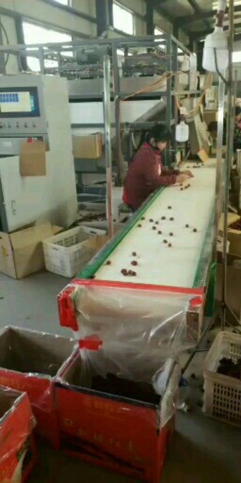 厂家大卖新疆红枣和田大枣一手货源规格齐全量大从优