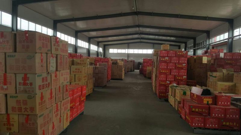 电商货源无核枣去核枣厂家直供一手货源