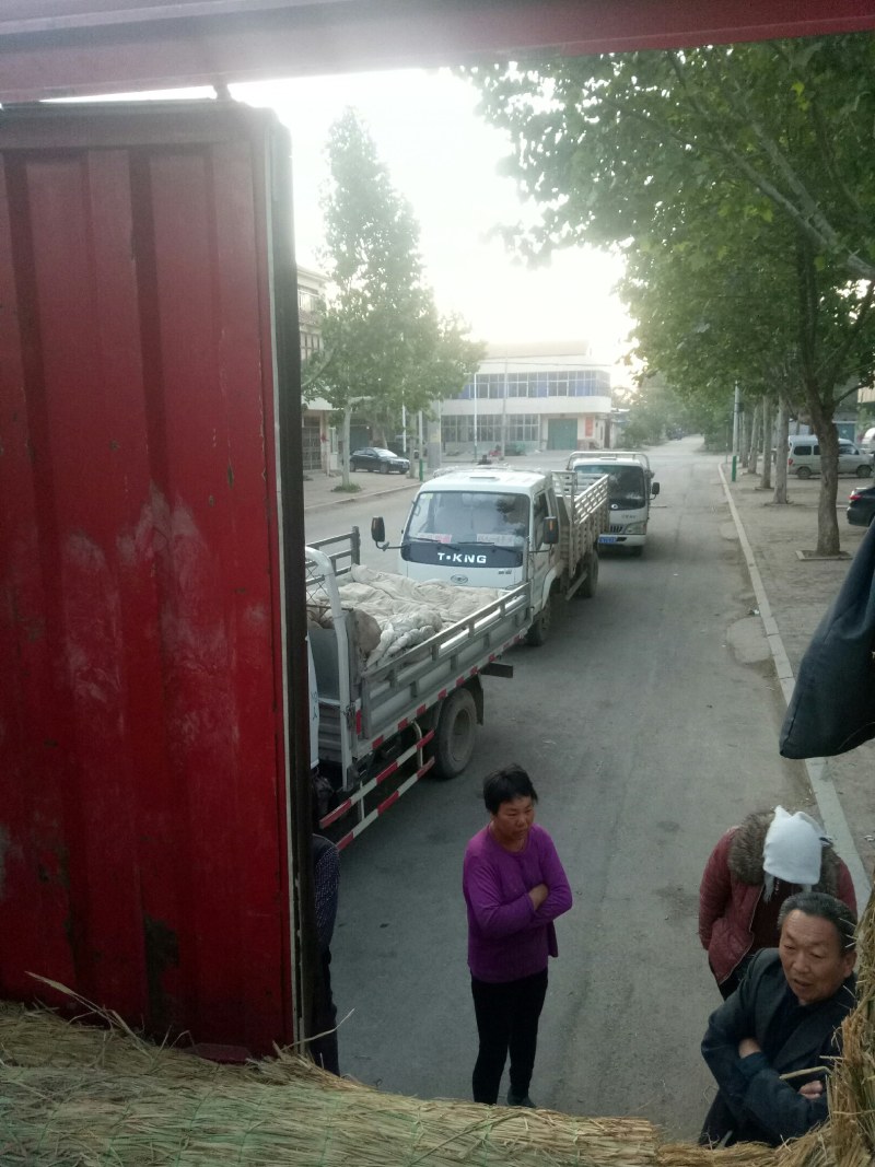 AAo山东精品西瓜一手货源大量批发，转超市，电商5到8斤