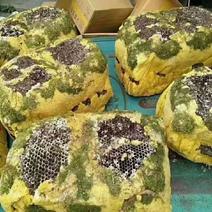 野蜂蜜2021岩石蜂蜜岩蜂蜜可定制颜色蜂蜜