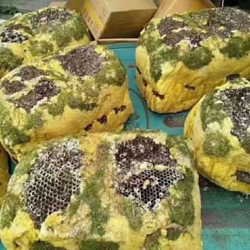 野蜂蜜2021岩石蜂蜜岩蜂蜜可定制颜色蜂蜜
