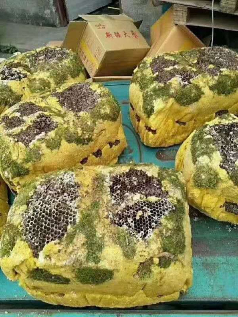 野蜂蜜2021岩石蜂蜜岩蜂蜜可定制颜色蜂蜜