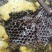 野蜂蜜2021岩石蜂蜜岩蜂蜜可定制颜色蜂蜜
