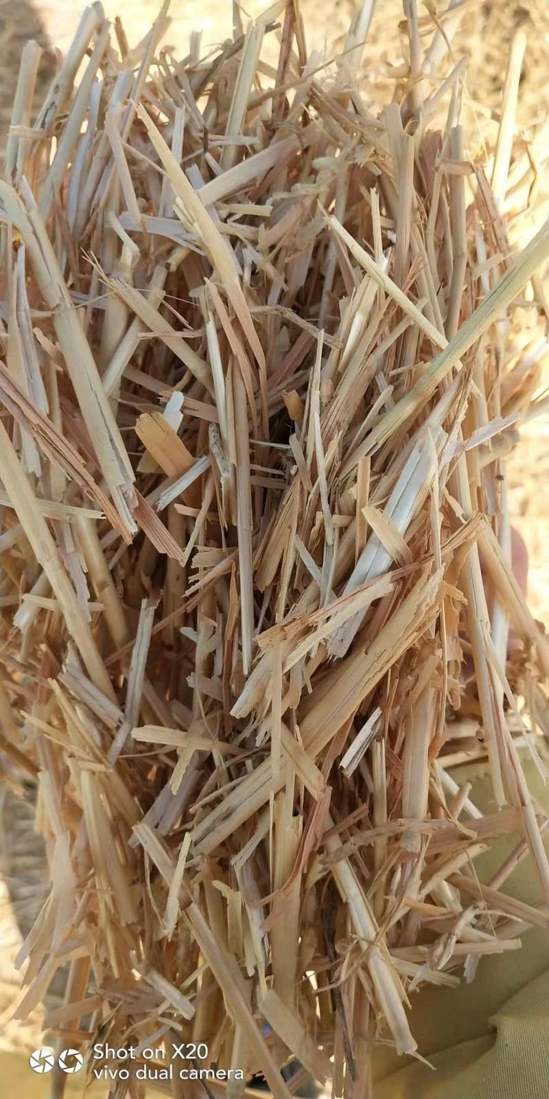 小麦草小麦秸秆麦草揉丝除尘压块牛羊草料干草麦草