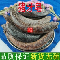 云南野生中药材猪牙皂成熟饱满牙皂小皂角荚包邮
