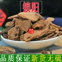 中药材内蒙锁阳片泡酒泡茶料男滋补散装包邮