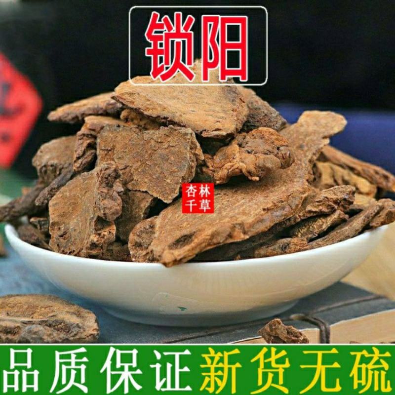 中药材内蒙锁阳片泡酒泡茶料男滋补散装包邮