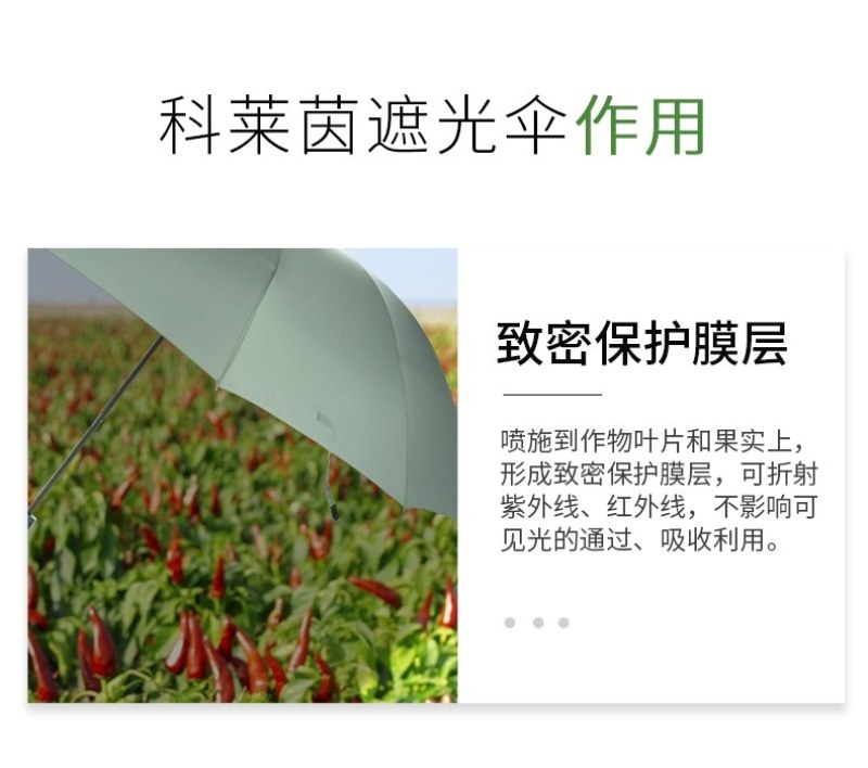 遮光伞蔬菜果树叶面肥防晒防病害专用水溶肥料