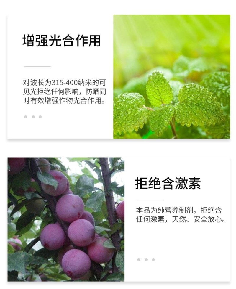 遮光伞蔬菜果树叶面肥防晒防病害专用水溶肥料