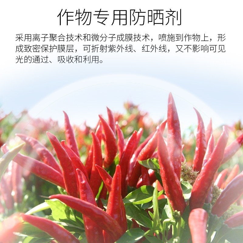 遮光伞蔬菜果树叶面肥防晒防病害专用水溶肥料