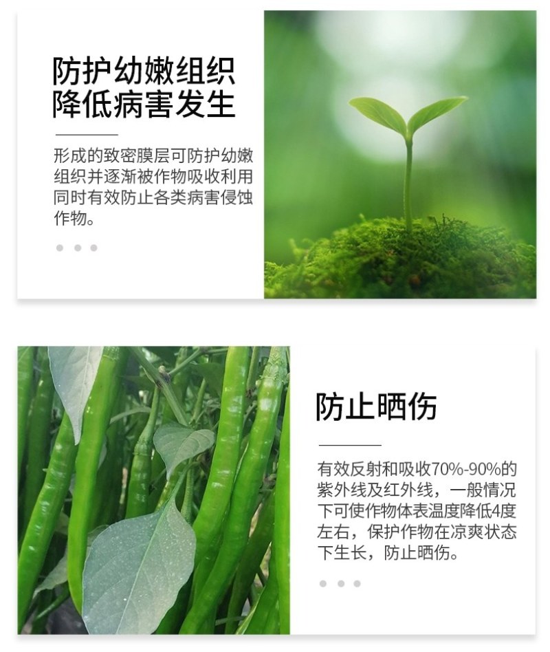 遮光伞蔬菜果树叶面肥防晒防病害专用水溶肥料
