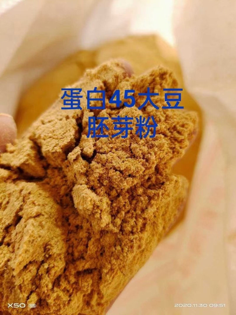 大豆胚芽粉蛋白45适合牛养猪鸡鸭鹅，大量现货