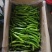 螺丝椒15~20厘米青中辣用于各种食材料