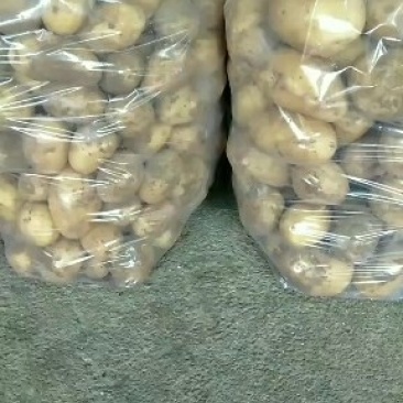 黄心土豆大量有货光滑无坑二两半起光滑无坑欢迎新朋友来电