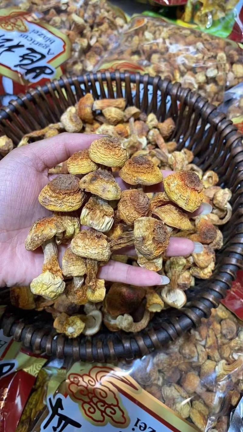 长白山姬松茸，一斤可泡7-9斤，零添加，批发零售量大从优
