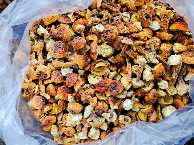 长白山姬松茸，一斤可泡7-9斤，零添加，批发零售量大从优