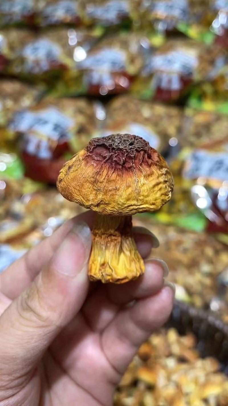 长白山姬松茸，一斤可泡7-9斤，零添加，批发零售量大从优