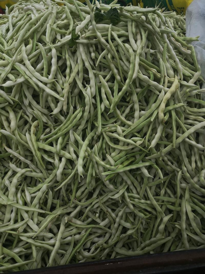 优质白不老，白芸豆，基地直供，价格美丽，可视频看货，欢迎