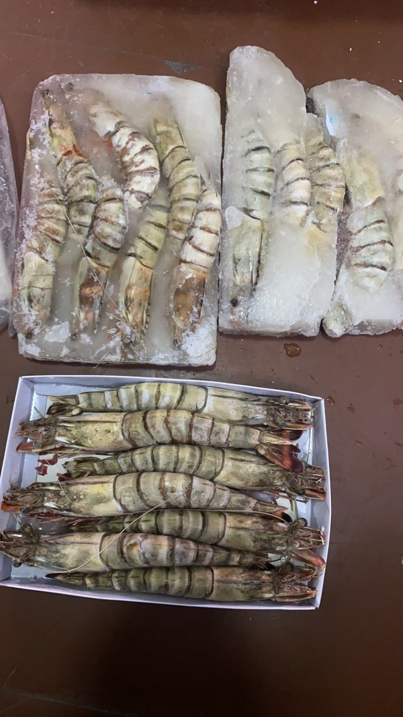 活冻黑虎大虾3/4只一斤全国各地可发货
