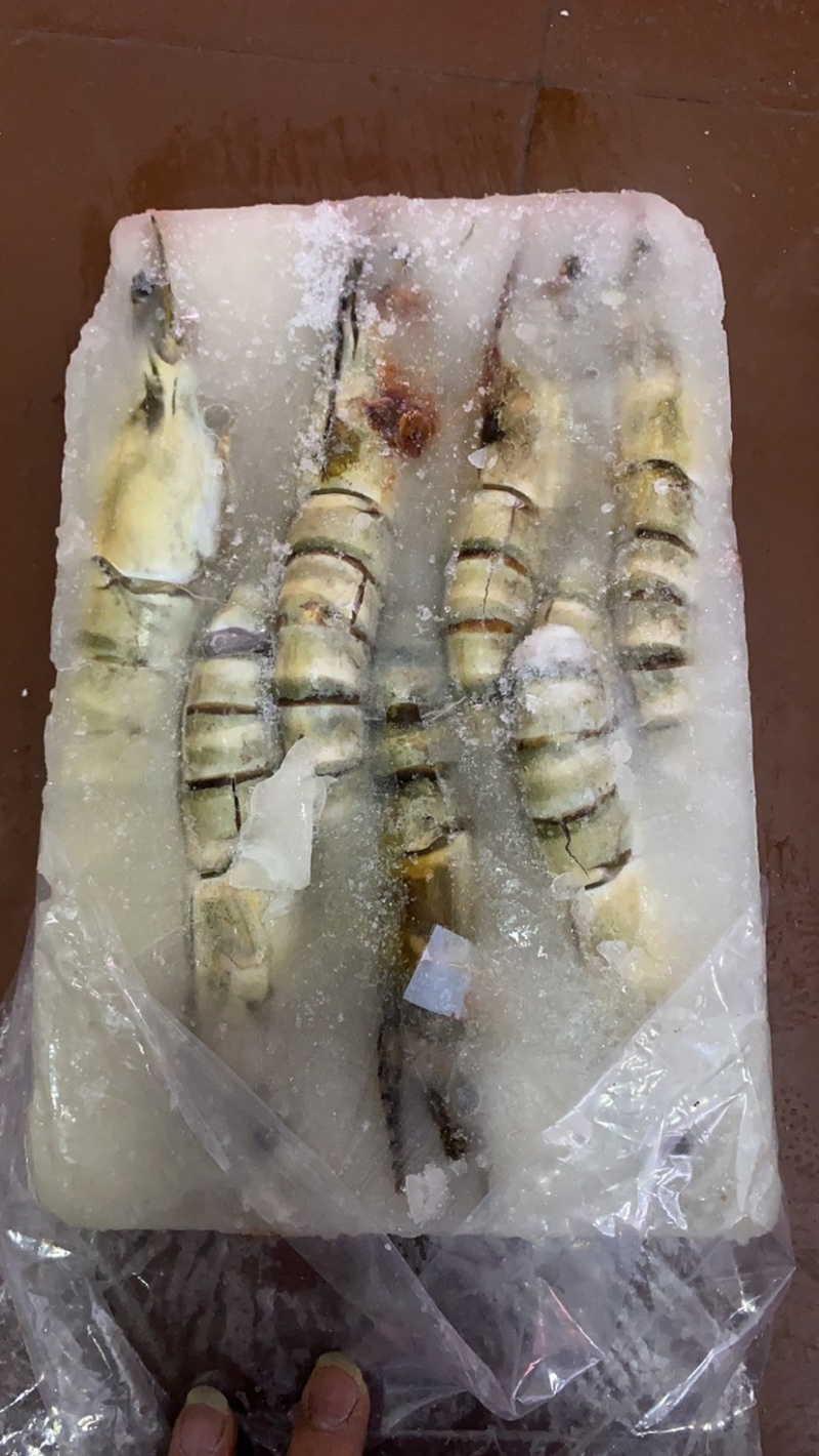 活冻黑虎大虾3/4只一斤全国各地可发货