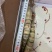 活冻黑虎大虾3/4只一斤全国各地可发货