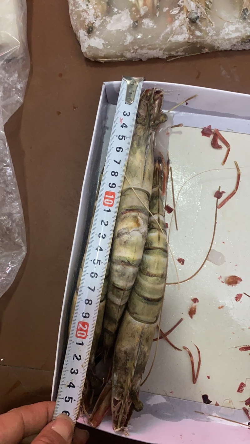 活冻黑虎大虾3/4只一斤全国各地可发货